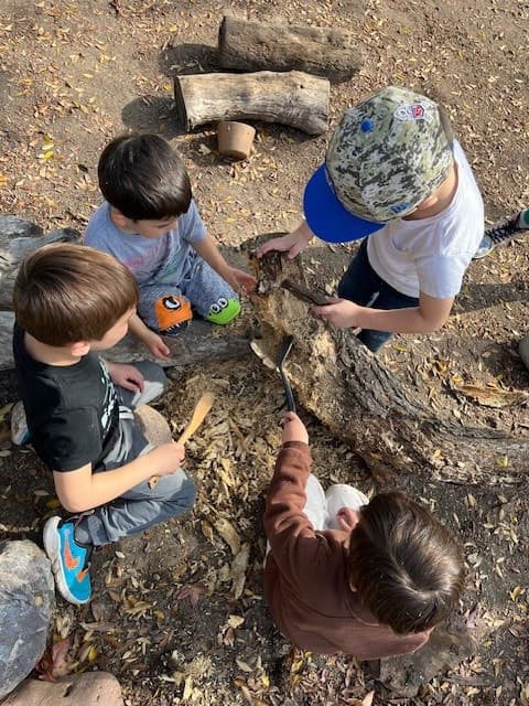 Group outdoor learning